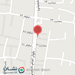 عکس گل فروشی میبد