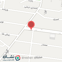 عکس لنت ترمز وصفحه کلاچ امیر