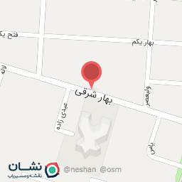 عکس اتو سرویس شاهی