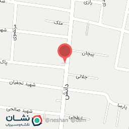 عکس زیتون شمال