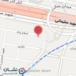 عکس موسسه آسان مهاجرت پارسیان اودسا