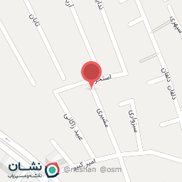 عکس چلوکبابی زعفرون