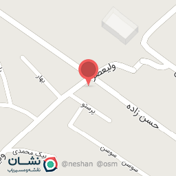 عکس فست فود گل محمدی