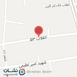 عکس فروشگاه فرش نگین