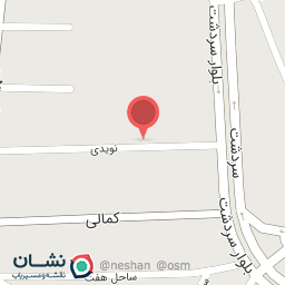 عکس غذا بانو