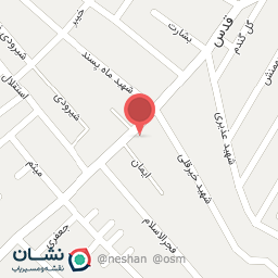 عکس الکتریکی زندی