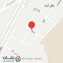 عکس مشاور املاک باغ