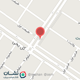 عکس خیابان ولایت 8