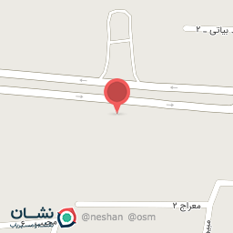 عکس ترکیب رنگ اتومبیل آیت الله