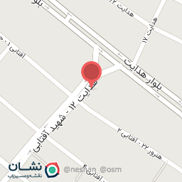 عکس دان پرندگان