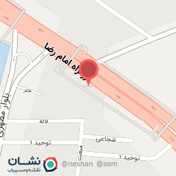 عکس کفش سورنا