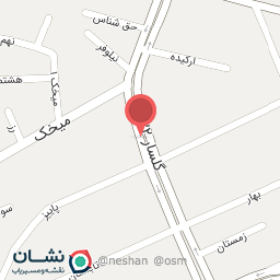 عکس ارگانیک سیامک(عطاری) 