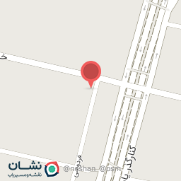 عکس دوزندگی اتومبیل ناصر