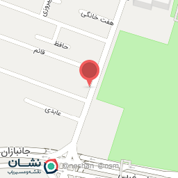 عکس قالیشویی ایران باستان