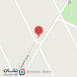 عکس کفش شاپرک