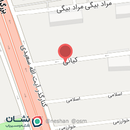 عکس صافکاری و نقاشی ناصر