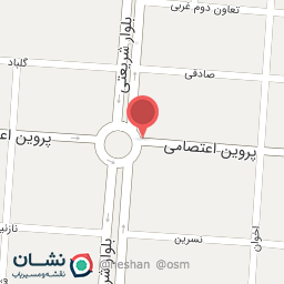 عکس پیتزا شو