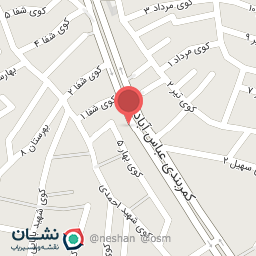 عکس اتوسرویس سامان