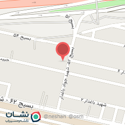 عکس لبنیاتی بستنی زرین