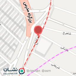 عکس دکتر نیلوفر ترکی