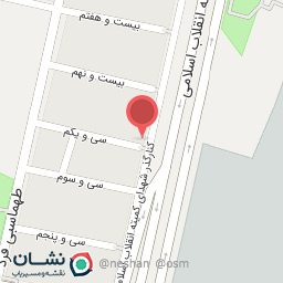 عکس اتو سرویس امیر