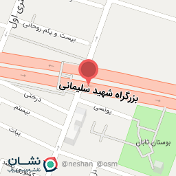 عکس اثنی عشری