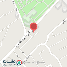 عکس پیتزا افرا