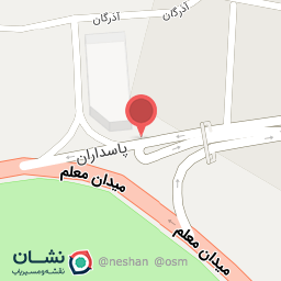 عکس فست فود پژمان