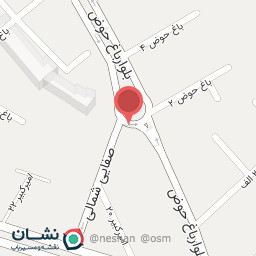 عکس کارواش نانو بخار VIP