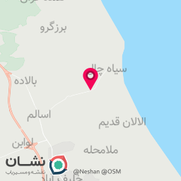 عکس شالیکوبی پورخودکار