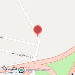 عکس مکانیکی نیایش