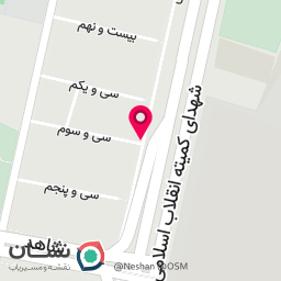 عکس اتو سرویس امیر