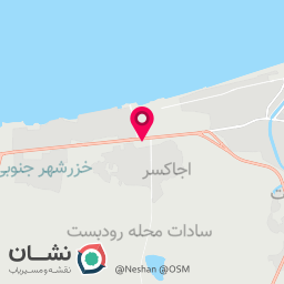 عکس برگر زغالی 