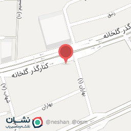 عکس دکتر اسداله صادقیان رنانی