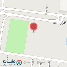 عکس نقاش خودرو