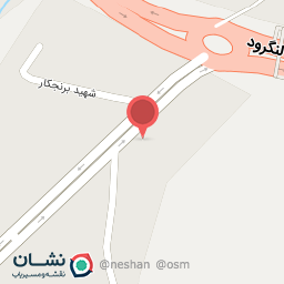 عکس مرغ فروشی شلمان