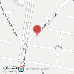 عکس فست فود نانسی