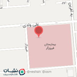 عکس خانم دکتر عاملی	فوق تخصص گوارش و کبد بالغین
