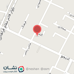 عکس پیک موتوری بادپا