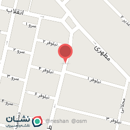 عکس شال و روسری نایس