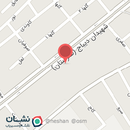 عکس دبستان پسرانه علوی