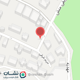 عکس رستوران آپاچی شعبه الهیه