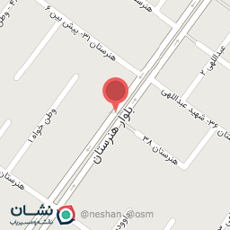 عکس  هنرستان 31