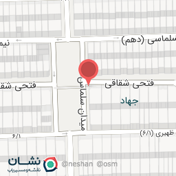 عکس حافظ نت