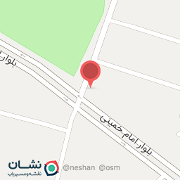 عکس پیتزا خروس