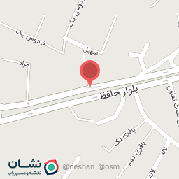 عکس میکانیکی شاهین