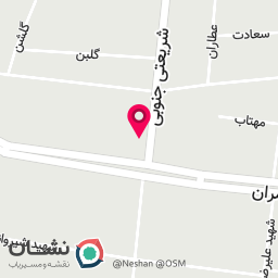 عکس کیف و کفش عرشیا
