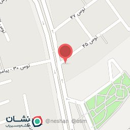 عکس صافکاری ونقاشی پارس