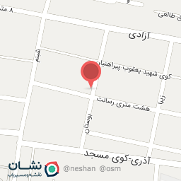 عکس فروشگاه کاکتوسچی