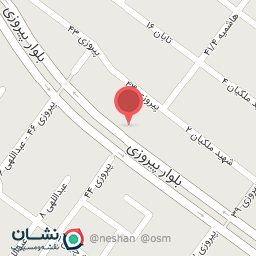 عکس موبایل رونیکا